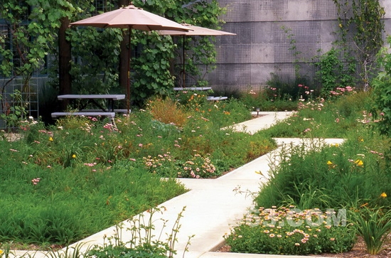 景观设计欣赏 美国加州环保创意花园