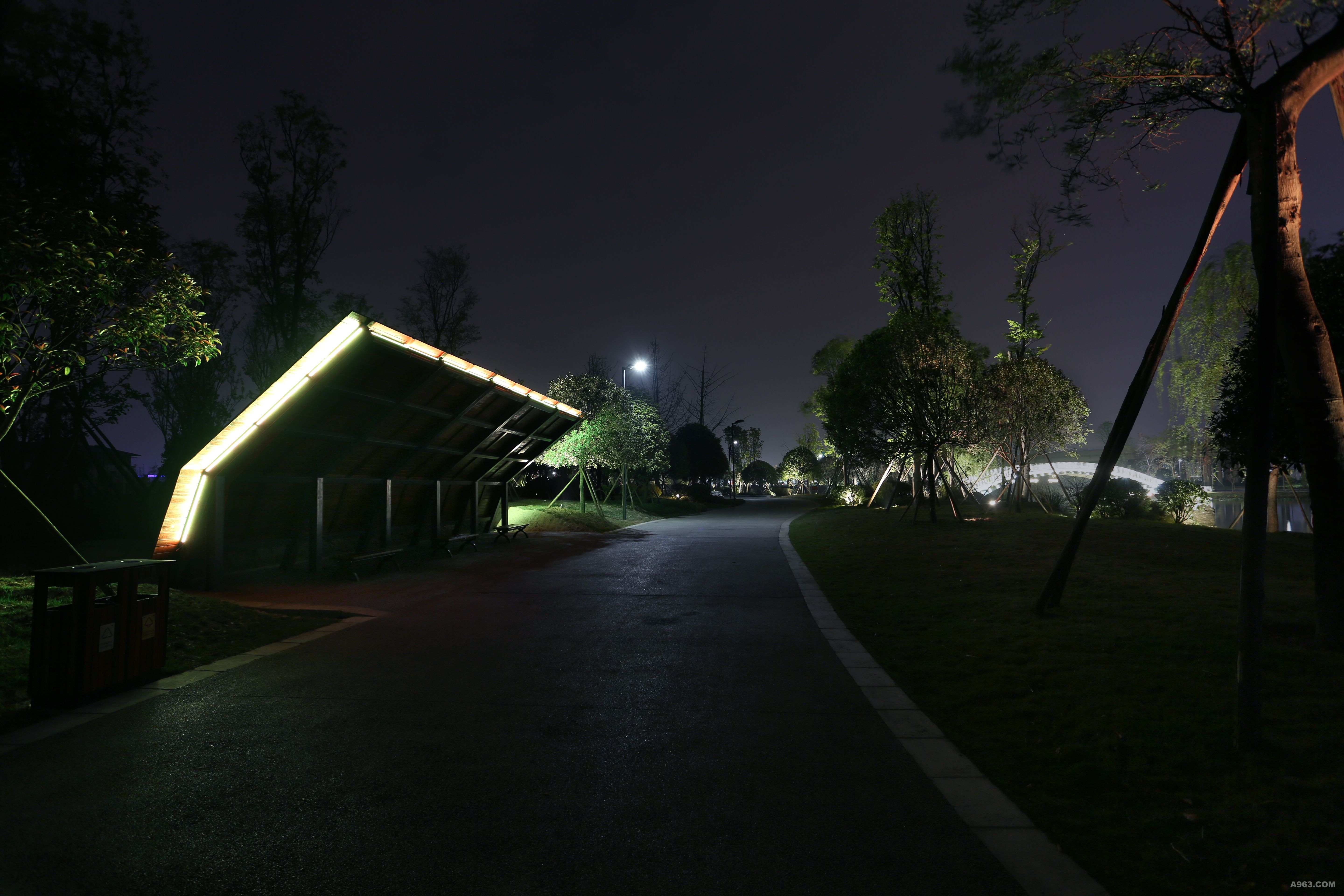 乐山绿心公园夜景图片
